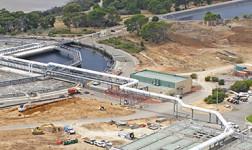 Read more about the article WP180