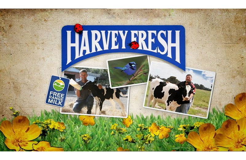 Read more about the article Harvey Fresh